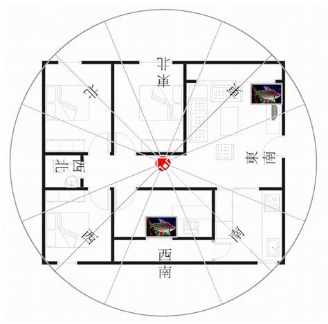 坐西南朝東北好嗎|陽宅風水學 坐西南向東北 「坤」宅秘密要知道 – 阿丸。